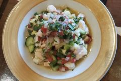 matadorceviche